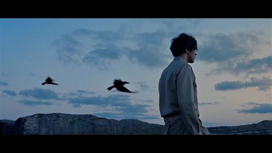 Canozan Çölde Bahar