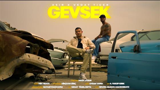 Vedat Tiger Gevşek