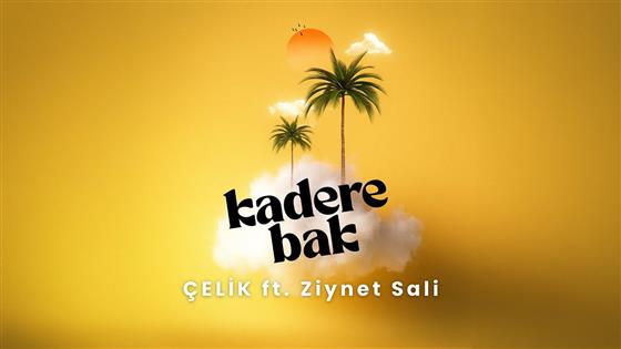 Çelik Kadere Bak