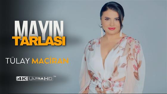 Tülay Maciran Mayın Tarlası