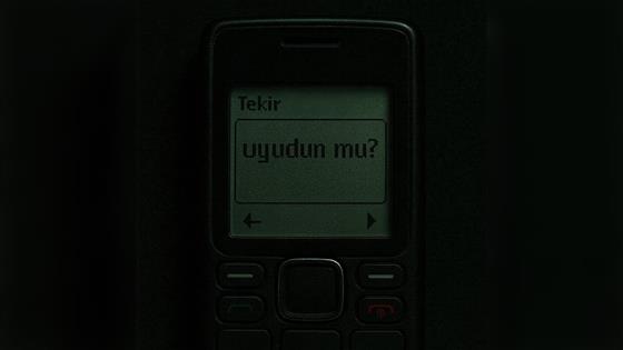 Tekir Uyudun mu?