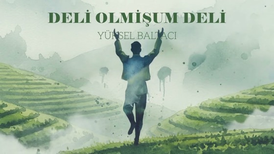 Yüksel Baltacı Deli Olmişum Deli